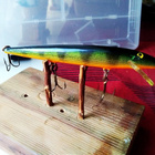 Rapala floating 12cm Ireland - pikkukuva 1