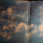 Peter Green : In The Skies. - pikkukuva 3