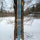 Karhu All Stars sukset 190cm - pikkukuva 1