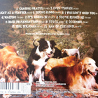 Norah Jones: THE FALL  -CD - pikkukuva 2
