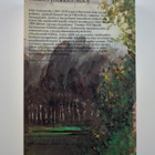 John Galsworthy : Forsytein taru 1 - pikkukuva 2
