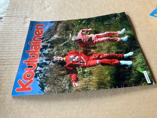 KOULULAINEN 13/1987 HYVÄ