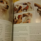 DIY Dog Grooming - From Puppy Cuts to Best in Show - Uusi - pikkukuva 2