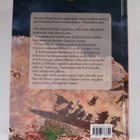 Tracy Hickman : Mystinen soturi - pikkukuva 2