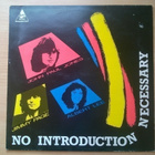 Eri Esittäjiä - No Introduction Necessary LP ( Jimmy Page ) - pikkukuva 1