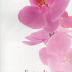 °°KAUNIS ORKIDEA°° -KIRJEPAPERIT & KUORET -SETTI / Papeteria - pikkukuva 2