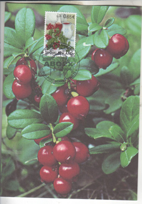 2004 Puolukka aiheinen maksimikortti.