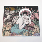 Nephila - pikkukuva 1
