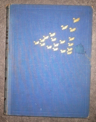 Kalervo Elomaa : Ilmapuolustus sanoin ja kuvin 1939 1.p.