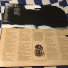 Laurie Kaye Cohen Under The skunk Us lp 1973 - pikkukuva 2
