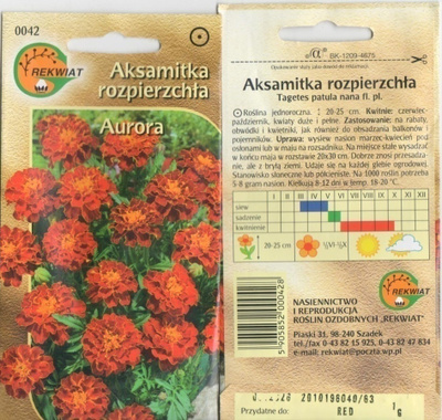 Ryhmäsamettikukka "Aurora" siemenet #