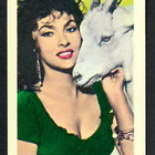 Keräilykuva - Gina Lollobrigida 22 - pikkukuva 1