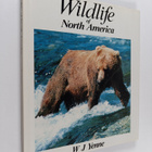 William J. Yenne : Wildlife of North America - pikkukuva 1
