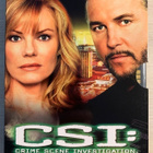 CSI: Kausi 7 (6DVD) - pikkukuva 1