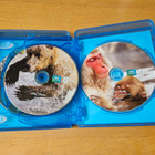 Life - Elävä planeetta (4 x Blu-ray) - pikkukuva 5