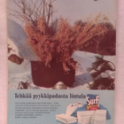 Kotiliesi No 5 maaliskuu 1970 - pikkukuva 2