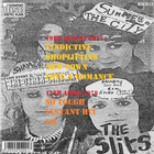 THE SLITS radio sessions 1977-78 ...1st female punk band - pikkukuva 2