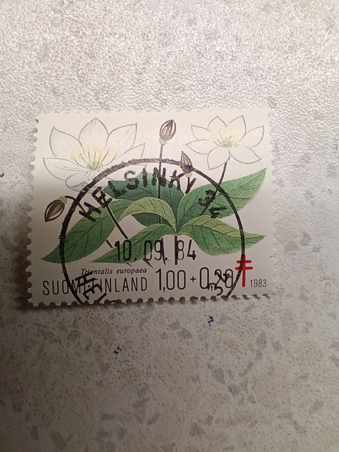 Postimerkki Punainen Risti loistoleima