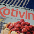 KOTIVINKKI NRO 13 6.7.2016 - pikkukuva 2