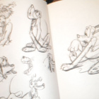kirja: A Disney Sketchbook - Taidekirja - pikkukuva 4