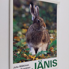 Juha Mälkönen : Jänis - pikkukuva 1
