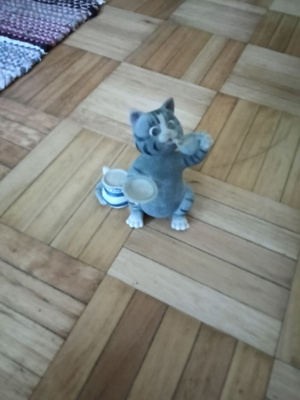 Kissa juo