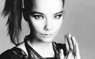 BJÖRK lehtileikkeitä