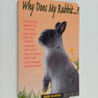 Anne McBride : Why Does My Rabbit... ? - pikkukuva 1