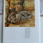 William Wegman: Puppies (koira) - pikkukuva 4