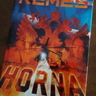 Ilkka Remes Horna - pikkukuva 1