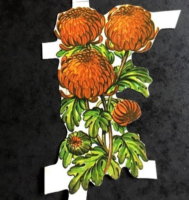 Oranssinkeltaiset kukat Kiiltokuva