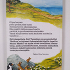 Airi Tuominen : Matka - pikkukuva 2