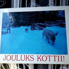 Topi Ikäläinen: Hus sika mehtää (sis pk) - pikkukuva 2