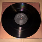 SVEN WOLLTER NÅN SORTS MAN LP - pikkukuva 5