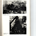 Puinalippu n:o 5 1973 Katso kuvat. - pikkukuva 5