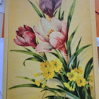 kukkia äidille,  taittokortti,  kulkenut 1954 - pikkukuva 1