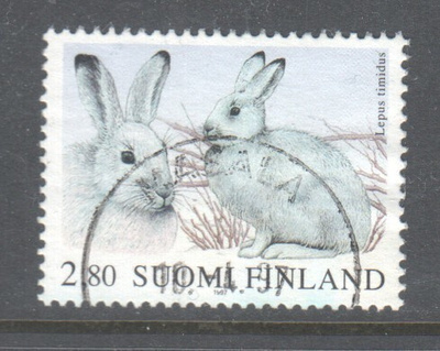 1997 Jänis kaunisleimaisena.