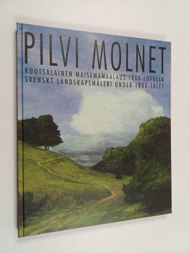 Pilvi : Ruotsalainen maisemamaalaus 1800-luvulla