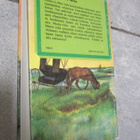 Laura Ingalls Wilder : Onnen kultaiset vuodet - pikkukuva 2