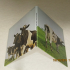 *CDjpn* PINK FLOYD Atom Heart Mother - pikkukuva 1