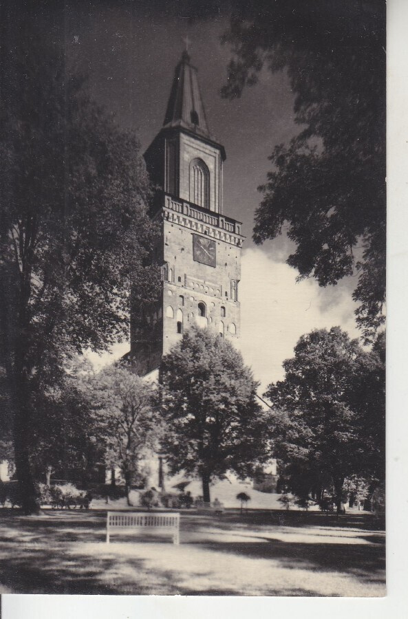 Turku Tuomiokirkko  (15)