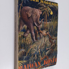 H. Rider Haggard : Maiwan kosto - pikkukuva 1