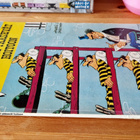 Lucky Luke  Daltonit pääsevät hoitoon - pikkukuva 3
