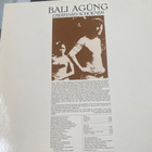 Eberhard Schoener: Bali Agúng 1980 LP - pikkukuva 2