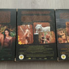 Beastmaster Complete Series Seasons 1-3 - pikkukuva 2