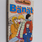Tuula Saarto : Bänät - pikkukuva 1