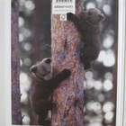 Luonnonystävän vuosikirja 2012 - pikkukuva 2