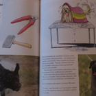 Nuoren koiranystävän kirja - pikkukuva 2