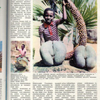 ME n:o 12 1973 Kuttu kirmaa. Pekka Saarnio. Seychellit. - pikkukuva 5