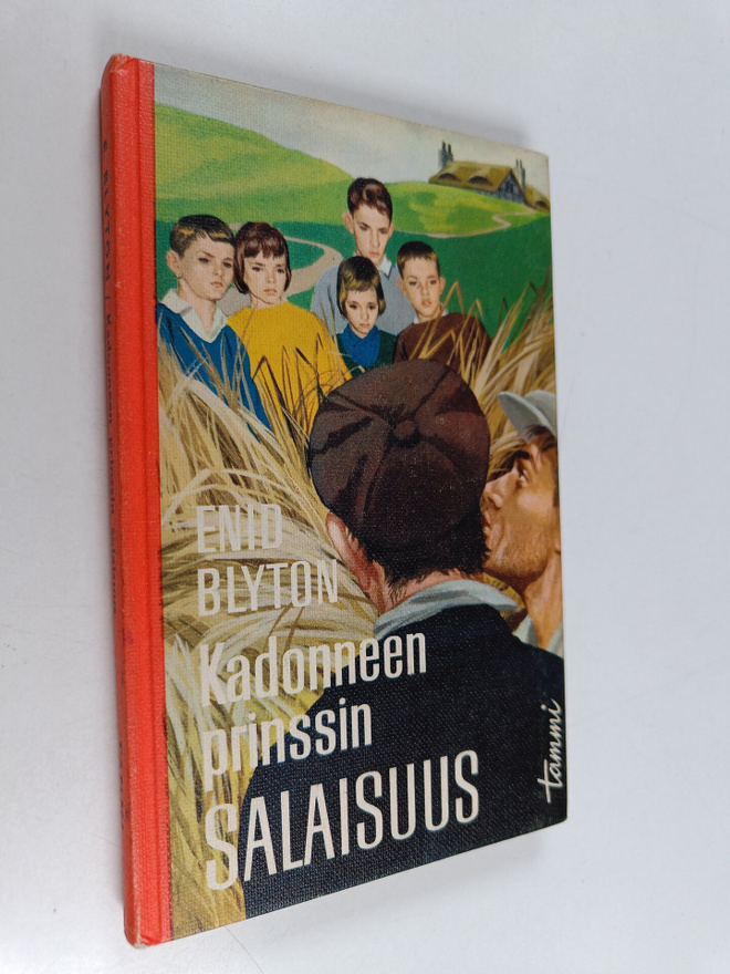 Enid Blyton : Kadonneen prinssin salaisuus